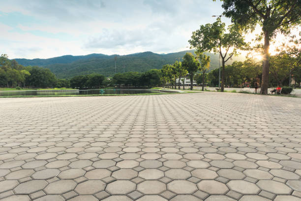 Best Professional Driveway Pavers  in Naples, FL
