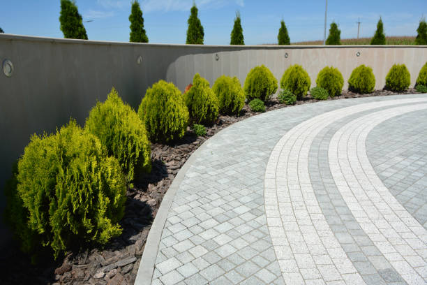 Best Decorative Driveway Pavers  in Naples, FL